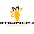 Imandy Modelling